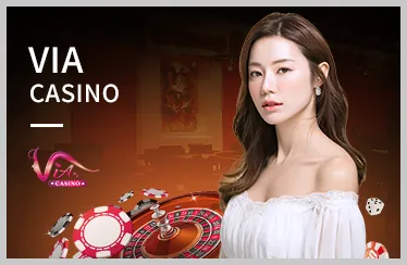 Bắt đầu cá cược đá gà